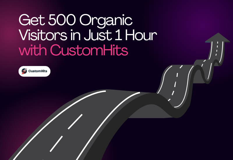 CustomHits - Get 500 Organic Visitors in Just 1 Hour with CustomHits